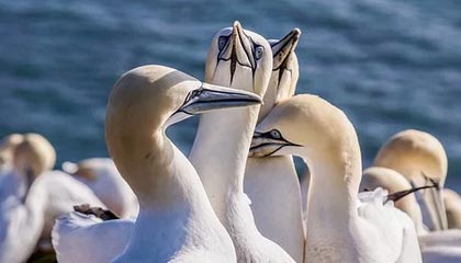 九游（jiuyou.com）游戏-国足防守效率跻身亚洲前列，国足防守型中场